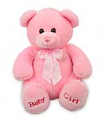 Flowers - Pink Teddy Bear