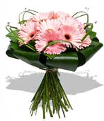 Flowers - Summer Princess