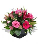 Flowers - Tickled Pink