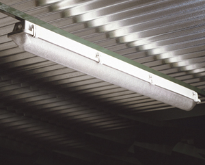 Unbranded Fluorescent lighting