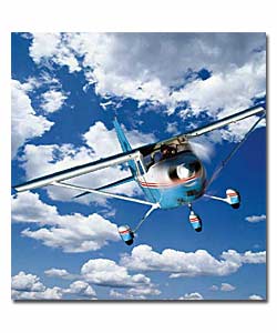 Activity Day Experience Out