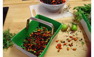 Unbranded Foraging Course for One in Derbyshire