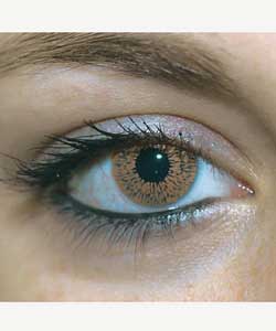 Four Eyez Cosmetic Fashion Lenses - Brown