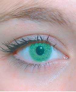 Four Eyez Fashion Contact Lenses - Green