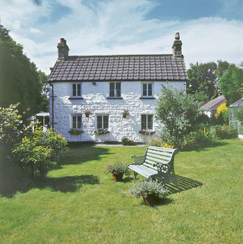 Unbranded Foxes Reach