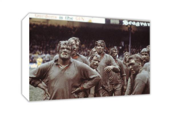 Unbranded Fran Cotton mud shotand#8211; Canvas collection