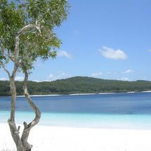 Unbranded Fraser Island Adventure - Adult