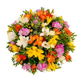 Unbranded Freesias Cube - flowers