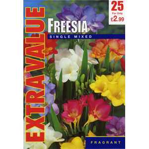 Unbranded Freesias Single Mixed Bulbs - Extra Value (25)