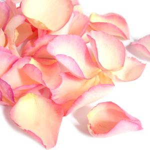 Unbranded Freeze Dried Rose Petals - Ivory with Pink Edges