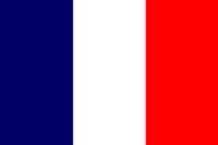 Unbranded French Flag (5ft x 3ft)