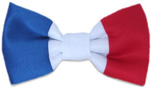 Unbranded French Flag Bow Tie