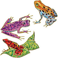 Unbranded Frog Classic Stickers