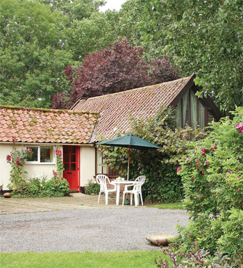 Unbranded Frog Cottage