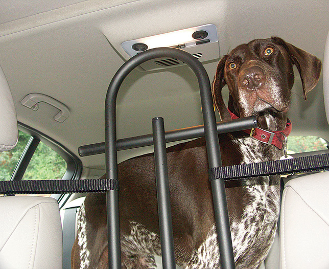 Unbranded Front Seat Dog Guard