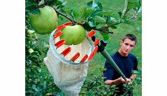 Unbranded Fruit Picker