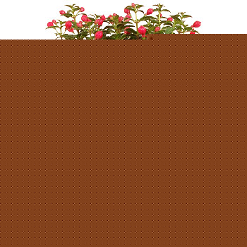 Unbranded Fuchsia Planter - flowers