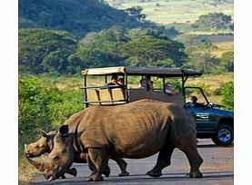 Unbranded Full Day Kruger National Park Open Vehicle Game