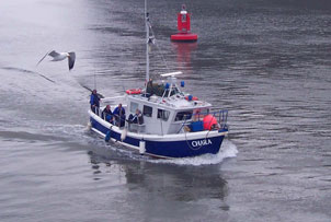 Unbranded Full Day Sea Fishing for 2