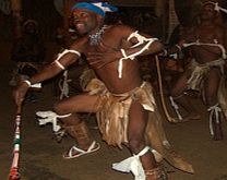 Unbranded Full Day Shakaland Tour - Single Adult