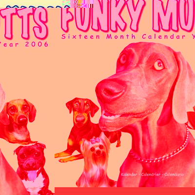 Funky Mutts Calendar