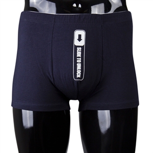 Unbranded Funny Boxers - Slide to Unlock