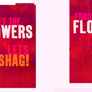 Unbranded Funny Greeting Cards - Forget The Flowers Lets