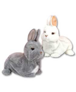 These baby bunnies that make cute lifelike bunny n