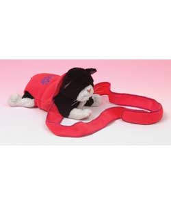 This adorable newborn kitten opens her eyes, lifts