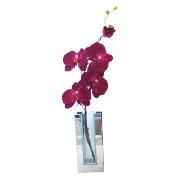 Unbranded Fuschia Orchid in Mirrored Rectangular Vase