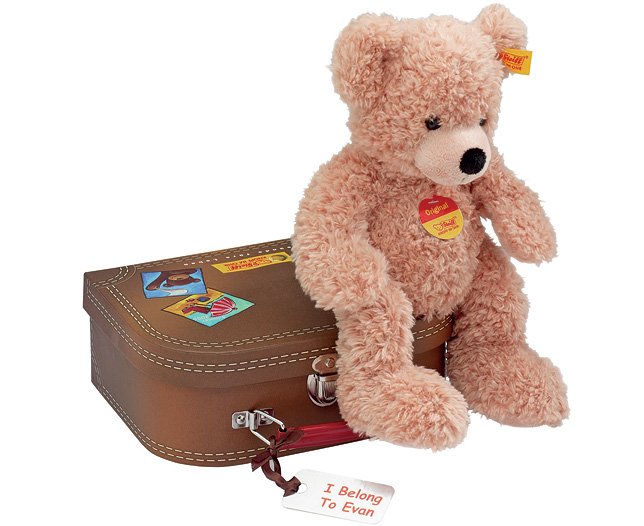 Unbranded FYNN- Steiff Teddy and Suitcase Personalised