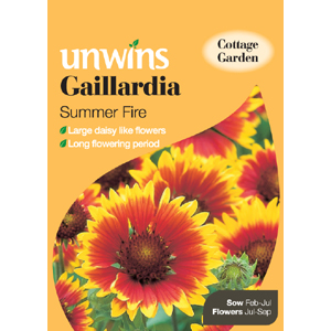 Unbranded Gaillardia Summer Fire Seeds