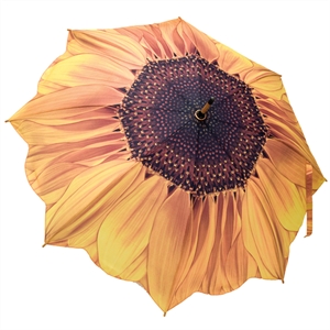 Unbranded Galleria Sunflower Umbrella