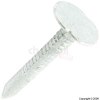 Unbranded Galvanised ELH Nails 25mm x 3mm Tub of 5Kg