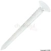 Unbranded Galvanised Jagged Plasterboard Nails 30mm x