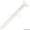 Unbranded Galvanised Jagged Plastered Board Nails 40mm x