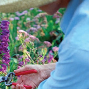 Unbranded Garden Design Experience