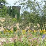 Unbranded Garden Lunch at Swinton Park for Two