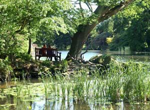 Unbranded Garden lunch (for two)