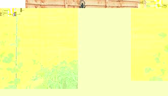 Unbranded Garden Maypole