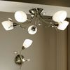 Unbranded Gardenia 5 Light Ceiling
