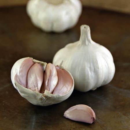 Unbranded Garlic Arno (Softneck Type) 2 Bulbs