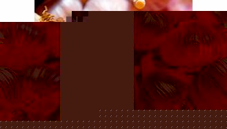 Unbranded Garlic Bulbs - Edenrose