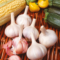 Unbranded Garlic Bulbs - Flavor