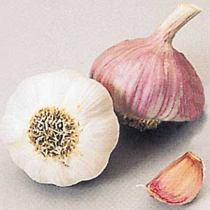 This French Sultop variety has very white skin and pink cloves.