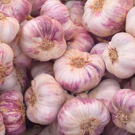 Unbranded Garlic Iberian Wight 2 Bulbs
