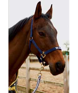 Unbranded Gee Up Head Collar, leadrope and Fly Fringe