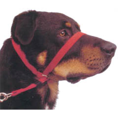 This patented headcollar provides kind control for all breeds, size and age of dogs. Full fitting an