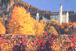 Cardboard jigsaw puzzle