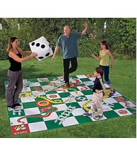 Giant Snakes and Ladders
